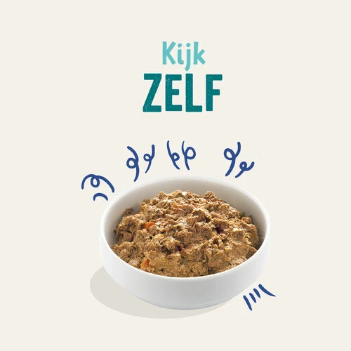 Edgard & Cooper Adult - Lachs Und Truthahn - Schale 8 Edgard & Cooper Adult - Lachs Und Truthahn - Schale - Image 6