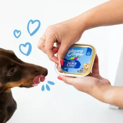 Edgard & Cooper Adult - Lachs Und Truthahn - Schale 10 Edgard & Cooper Adult - Lachs Und Truthahn - Schale -Günstiges Bellohaus Geschäft edgard cooper adult zalm kalkoen kuipje 208616 0500 none