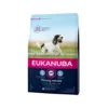 Eukanuba Dog - Mature & Senior - Medium Breed 2 Eukanuba Dog - Mature & Senior - Medium Breed -Günstiges Bellohaus Geschäft eukanuba dog mature senior medium breed 115023 0500 none