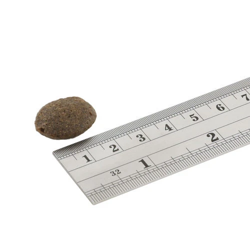 Fish4Dogs Finest Adult Complete - Lachs Große Brocken 4 Fish4Dogs Finest Adult Complete - Lachs Große Brocken - Image 2