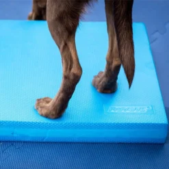 FitPAWS Balance Pad -Günstiges Bellohaus Geschäft fitpaws balance pad 176131 0500 none