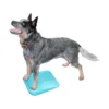 FitPAWS Balance Ramp 1 FitPAWS Balance Ramp -Günstiges Bellohaus Geschäft fitpaws balance ramp 176140 0500 none