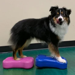 FitPAWS Bone Minis 8 FitPAWS Bone Minis -Günstiges Bellohaus Geschäft fitpaws bone minis 177124 0500 none