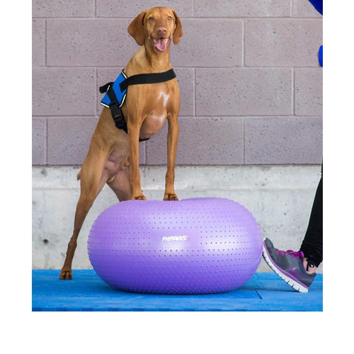 FitPAWS Trax Donut 4 FitPAWS Trax Donut - Image 2