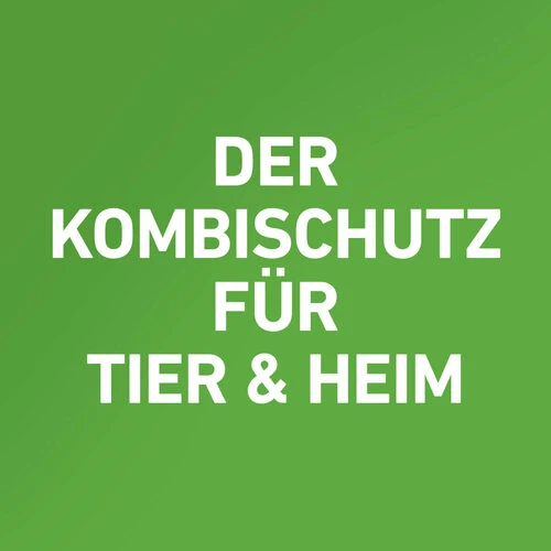 Frontline Combo Gegen Zecken, Flöhe (Flöhe, Eier, Larven, Puppen) Bei Hunden 18 Frontline Combo Gegen Zecken, Flöhe (Flöhe, Eier, Larven, Puppen) Bei Hunden - Image 16