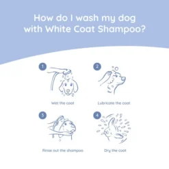 Greenfields Malteser Care Set 11 Greenfields Malteser Care Set -Günstiges Bellohaus Geschäft greenfields malteser care set 220905 0500 none