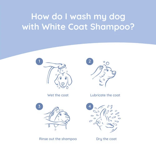 Greenfields Malteser Care Set 6 Greenfields Malteser Care Set - Image 4