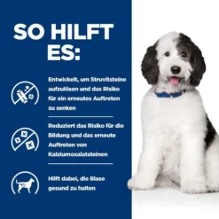 Hill's C/d Multicare Ragout - Prescription Diet - Canine -Günstiges Bellohaus Geschäft hills cd multicare stoofpotje prescription diet canine 211406 0500 none