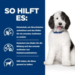 Hill's C/d Urinary Care - Prescription Diet - Canine -Günstiges Bellohaus Geschäft hills cd urinary care prescription diet canine 217894 0500 none