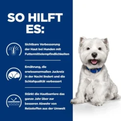 Hill's Derm Complete Mini - Prescription Diet – Canine -Günstiges Bellohaus Geschäft hills derm complete mini prescription diet canine 211652 0500 none
