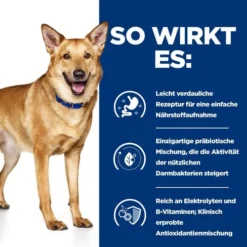 Hill's I/d Digestive Care - Prescription Diet - Canine 14 Hill's I/d Digestive Care - Prescription Diet - Canine -Günstiges Bellohaus Geschäft hills id digestive care prescription diet canine 217956 0500 none