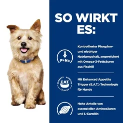 Hill's K/d Kidney Care - Prescription Diet - Canine -Günstiges Bellohaus Geschäft hills kd kidney care prescription diet canine 218051 0500 none