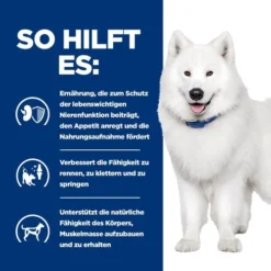 Hill's K/d + Mobility - Prescription Diet - Canine 12 Hill's K/d + Mobility - Prescription Diet - Canine -Günstiges Bellohaus Geschäft hills kd mobility prescription diet canine 212189 0500 none