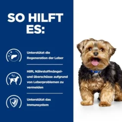 Hill's L/d Liver Care - Prescription Diet - Canine -Günstiges Bellohaus Geschäft hills ld liver care prescription diet canine 218064 0500 none