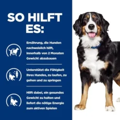 Hill's Metabolic + Mobility - Prescription Diet - Canine -Günstiges Bellohaus Geschäft hills metabolic mobility prescription diet canine 212783 0500 none