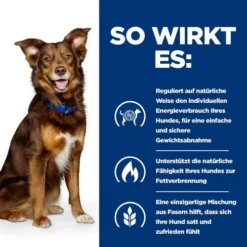 Hill's Metabolic Weight Management - Prescription Diet - Canine -Günstiges Bellohaus Geschäft hills metabolic weight management prescription diet canine 217870 0500 none