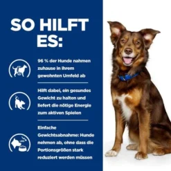Hill's Metabolic Weight Management - Prescription Diet - Canine -Günstiges Bellohaus Geschäft hills metabolic weight management prescription diet canine 217871 0500 none
