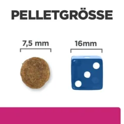 Hill's Prescription Diet Gastrointestinal Biome - Canine - Mini -Günstiges Bellohaus Geschäft hills prescription diet gastrointestinal biome canine mini 211880 0500 none