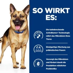 Hill's Prescription Diet Gastrointestinal Biome Hundefutter - Dose -Günstiges Bellohaus Geschäft hills prescription diet gastrointestinal biome hondenvoer blik 212858 0500 none