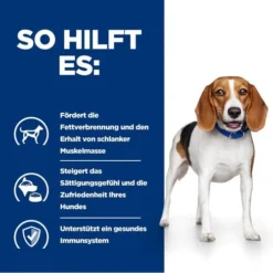 Hill's R/d Weight Reduction - Prescription Diet - Canine -Günstiges Bellohaus Geschäft hills rd weight reduction prescription diet canine 218088 0500 none