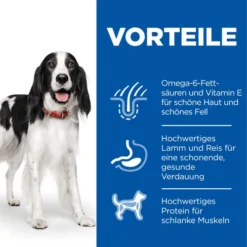 Hill's Science Plan - Medium Adult Dog 13 Hill's Science Plan - Medium Adult Dog -Günstiges Bellohaus Geschäft hills science plan adult medium lamb 218893 0500 none