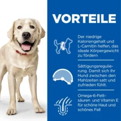Hill's Science Plan Light - Large Adult Dog 13 Hill's Science Plan Light - Large Adult Dog -Günstiges Bellohaus Geschäft hills science plan adult light large 218758 0500 none