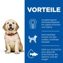 Hill's Science Plan - Large Puppy -Günstiges Bellohaus Geschäft hills science plan puppy large chicken 218517 0500 none
