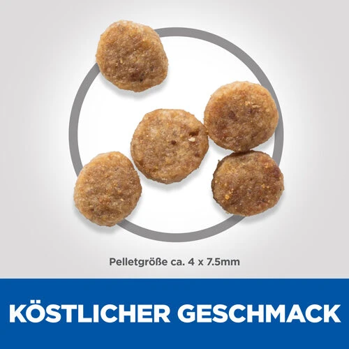 Hill's Science Plan - Small & Mini Senior Dog 4 Hill's Science Plan - Small & Mini Senior Dog - Image 2