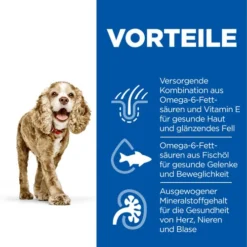 Hill's Science Plan - Small & Mini Senior Dog 12 Hill's Science Plan - Small & Mini Senior Dog -Günstiges Bellohaus Geschäft hills science plan senior small miniature 218445 0500 none