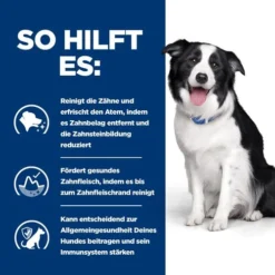 Hill's T/d Dental Care - Prescription Diet - Canine -Günstiges Bellohaus Geschäft hills td dental care prescription diet canine 218121 0500 none