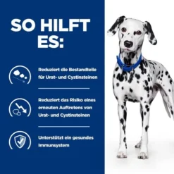 Hill's U/d - Urinary Care - Prescription Diet - Canine -Günstiges Bellohaus Geschäft hills ud urinary care prescription diet canine 218169 0500 none