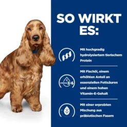 Hill's Z/d Food Sensitivities - Prescription Diet - Canine -Günstiges Bellohaus Geschäft hills zd food sensitivities prescription diet canine 214322 0500 none