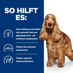 Hill's Z/d Food Sensitivities - Prescription Diet - Canine -Günstiges Bellohaus Geschäft hills zd food sensitivities prescription diet canine 214331 0500 none