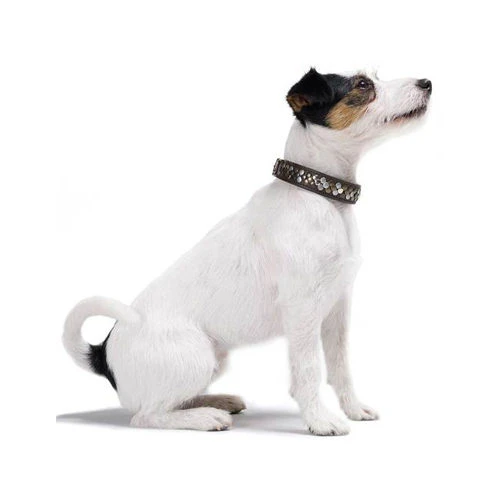 Hunter Halsband Arizona 4 Hunter Halsband Arizona - Image 2