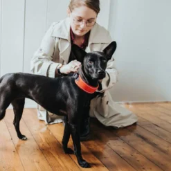 Hunter Halsband Divo -Günstiges Bellohaus Geschäft hunter halsband divo 208013 0500 none