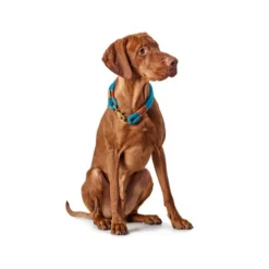 Hunter Halsband Oss -Günstiges Bellohaus Geschäft hunter halsband oss 116343 0500 none