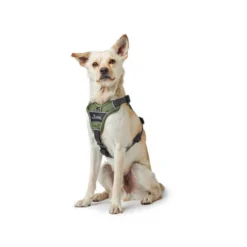 Hunter Geschirr Divo Dunkelblau/Grau -Günstiges Bellohaus Geschäft hunter harnas divo donkerblauwgrijs 166891 0500 none