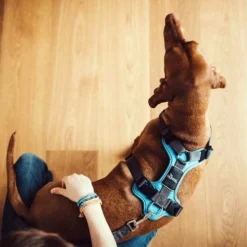 Hunter Geschirr Divo Dunkelblau/Grau -Günstiges Bellohaus Geschäft hunter harnas divo donkerblauwgrijs 166903 0500 none