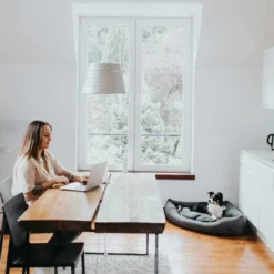 Hunter Eckkorb Livingstone - Grau 15 Hunter Eckkorb Livingstone - Grau -Günstiges Bellohaus Geschäft hunter hoekmand livingstone grijs 175903 0500 none