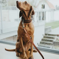 Hunter Trainingsleine - Braun 7 Hunter Trainingsleine - Braun -Günstiges Bellohaus Geschäft hunter trainingsriem bruin 175348 0500 none