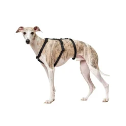 Hunter Vario Rapid Sicherheitsgeschirr - Schwarz -Günstiges Bellohaus Geschäft hunter vario rapid veiligheidsharnas zwart 169501 0500 none