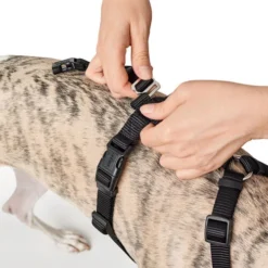 Hunter Vario Rapid Sicherheitsgeschirr - Schwarz -Günstiges Bellohaus Geschäft hunter vario rapid veiligheidsharnas zwart 169504 0500 none