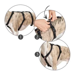 Hunter Vario Rapid Sicherheitsgeschirr - Schwarz -Günstiges Bellohaus Geschäft hunter vario rapid veiligheidsharnas zwart 169510 0500 none