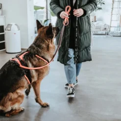 Hunter Sicherheitsgeschirr Maldon -Günstiges Bellohaus Geschäft hunter veiligheidsharnas maldon 221557 0500 none