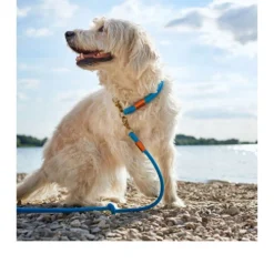 Hunter Verstellbare Führleine Oss -Günstiges Bellohaus Geschäft hunter verstelbare riem oss 116580 0500 none