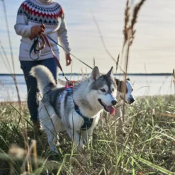 Hurtta - Geschirr Weekend Warrior Winter - Bilberry -Günstiges Bellohaus Geschäft hurtta weekend warrior winter harnas bilberry 216605 0500 none