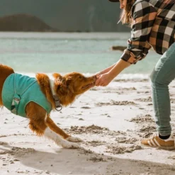 Hurtta Cooling Wrap - Hellblau 10 Hurtta Cooling Wrap - Hellblau -Günstiges Bellohaus Geschäft hurtta cooling wrap lichtblauw 178456 0500 none