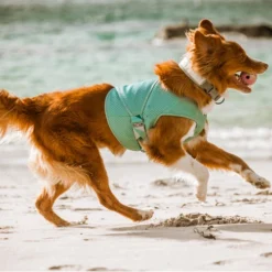 Hurtta Cooling Wrap - Hellblau 9 Hurtta Cooling Wrap - Hellblau -Günstiges Bellohaus Geschäft hurtta cooling wrap lichtblauw 178462 0500 none