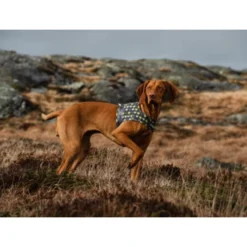 Hurtta Go Geschirr Storm Grey 9 Hurtta Go Geschirr Storm Grey -Günstiges Bellohaus Geschäft hurtta go harness storm grey 201305 0500 none