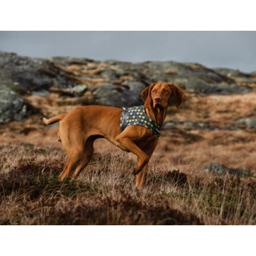 Hurtta Go Geschirr Storm Grey 6 Hurtta Go Geschirr Storm Grey – Bild 4